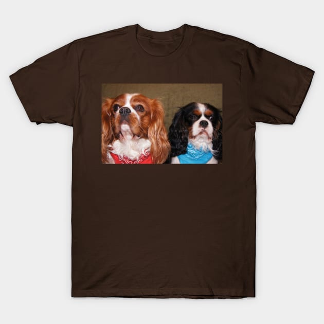 cavalier king charles spaniel pair T-Shirt by Wanderingangel